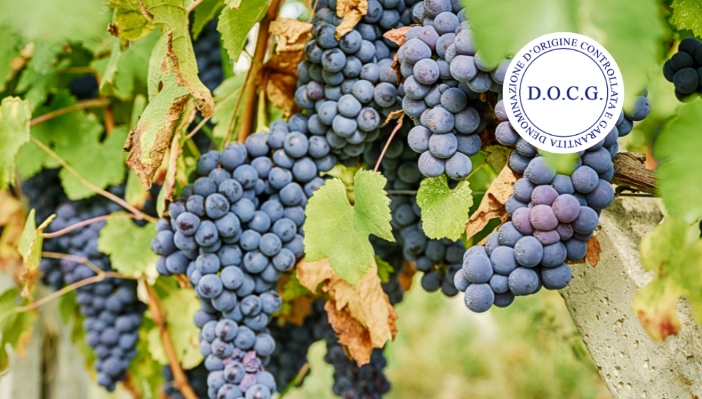 Barbera del Monferrato Superiore