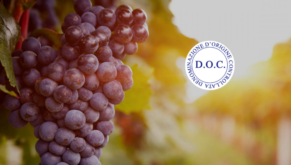 Nebbiolo d'Alba