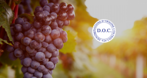 Nebbiolo d'Alba