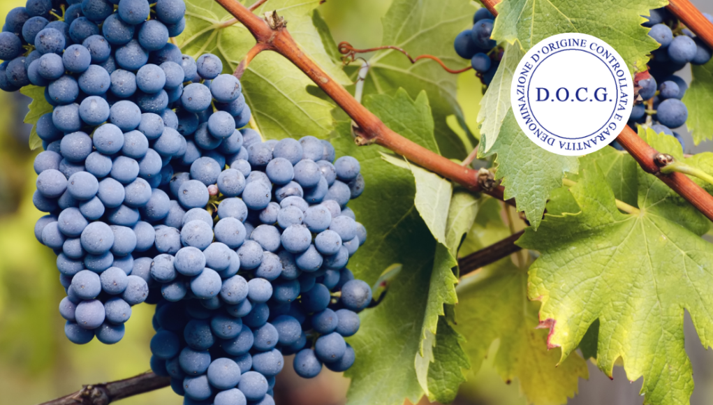 Barolo
