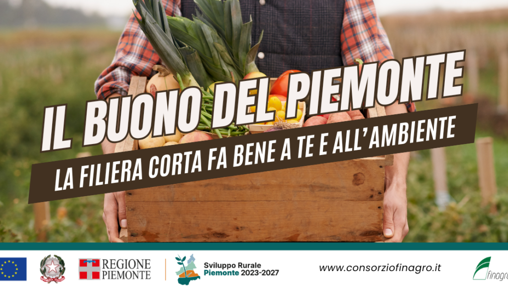 Il Buono del Piemonte: la filiera corta fa bene a te e all'ambiente