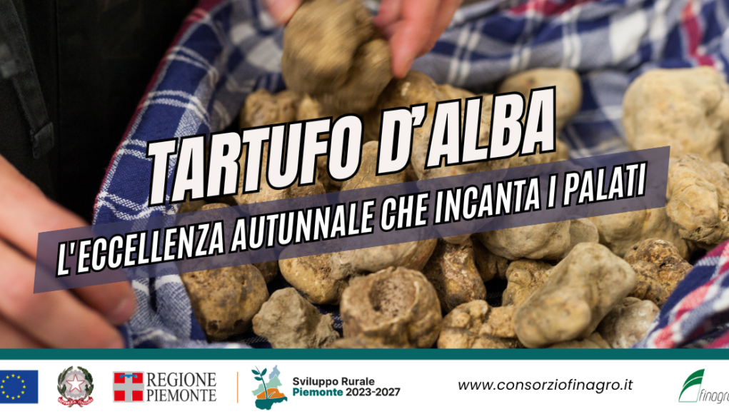 Tartufo d'Alba: L'eccellenza autunnale che incanta i palati