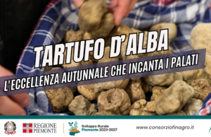 Tartufo d'Alba: L'eccellenza autunnale che incanta i palati