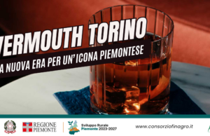 Vermouth di Torino IGP: una nuova era per un’icona piemontese