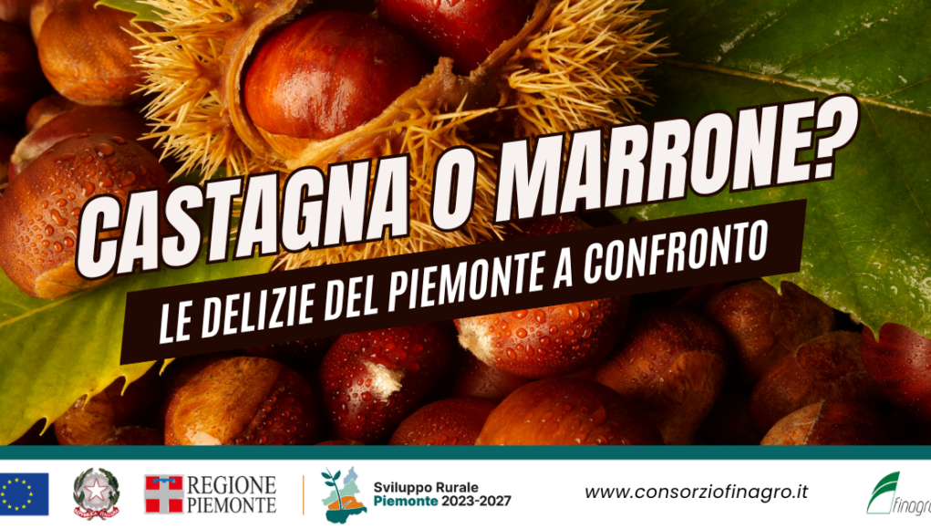 Castagna o Marrone? Le Delizie del Piemonte a confronto