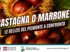 Castagna o Marrone? Le Delizie del Piemonte a confronto