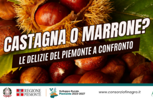 Castagna o Marrone? Le Delizie del Piemonte a confronto