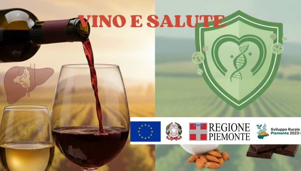 Vino e salute
