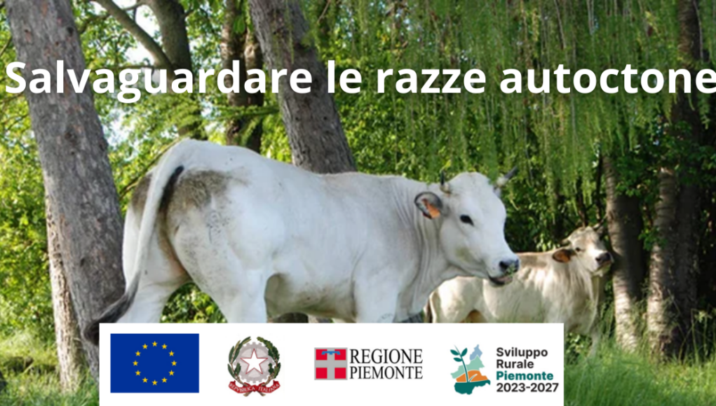 Salvaguardare le razze autoctone