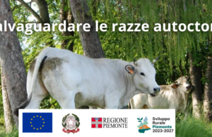 Salvaguardare le razze autoctone
