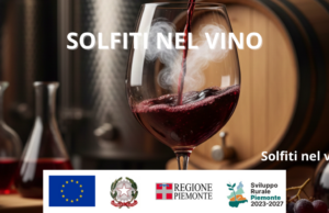 I solfiti del vino