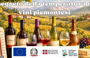 Il segreto della temperatura nei vini piemontesi